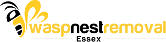 Getting Rid of Pesky Wasps: Wasp Nest Removal in Essex